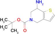 Tert-butyl 7-amino-6,7-dihydrothieno[3,2-c]pyridine-5(4H)-carboxylate