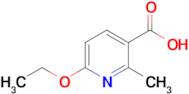 6-Ethoxy-2-methylnicotinic acid