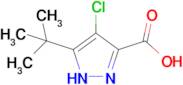 5-tert-butyl-4-chloro-1H-pyrazole-3-carboxylic acid