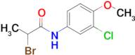 2-Bromo-N-(3-chloro-4-methoxyphenyl)propanamide