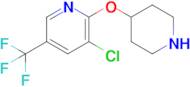 3-Chloro-2-(piperidin-4-yloxy)-5-(trifluoromethyl)pyridine