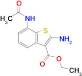 Ethyl 7-acetamido-2-aminobenzo[b]thiophene-3-carboxylate