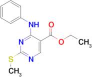 Ethyl 2-(methylthio)-4-(phenylamino)pyrimidine-5-carboxylate