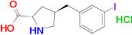 (2S,4R)-4-(3-iodobenzyl)pyrrolidine-2-carboxylic acid hydrochloride