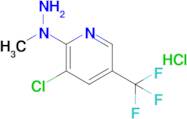 3-Chloro-2-(1-methylhydrazinyl)-5-(trifluoromethyl)pyridine hydrochloride