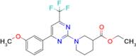 Ethyl 1-(4-(3-methoxyphenyl)-6-(trifluoromethyl)pyrimidin-2-yl)piperidine-3-carboxylate