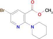 Methyl 5-bromo-2-(piperidin-1-yl)nicotinate