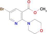 Methyl 5-bromo-2-morpholinonicotinate