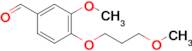 3-Methoxy-4-(3-methoxypropoxy)benzaldehyde