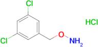 O-(3,5-dichlorobenzyl)hydroxylamine hydrochloride