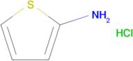 Thiophen-2-amine hydrochloride