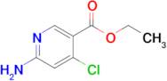 Ethyl 6-amino-4-chloronicotinate