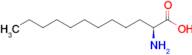 (S)-2-aminododecanoic acid