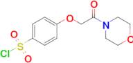 4-(2-Morpholino-2-oxoethoxy)benzenesulfonyl chloride