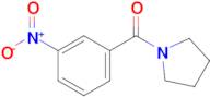 (3-Nitrophenyl)(pyrrolidin-1-yl)methanone