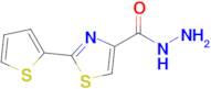 2-(Thiophen-2-yl)thiazole-4-carbohydrazide