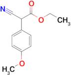 Ethyl 2-cyano-2-(4-methoxyphenyl)acetate