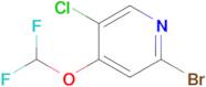 2-Bromo-5-chloro-4-(difluoromethoxy)pyridine