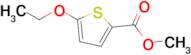 Methyl 5-ethoxythiophene-2-carboxylate