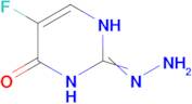 5-fluoro-2-hydrazinylidene-1,2,3,4-tetrahydropyrimidin-4-one