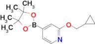 2-(Cyclopropylmethoxy)-4-(4,4,5,5-tetramethyl-1,3,2-dioxaborolan-2-yl)pyridine