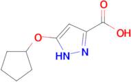 5-(cyclopentyloxy)-1H-pyrazole-3-carboxylic acid