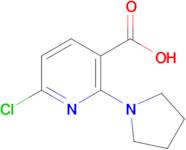 6-Chloro-2-(pyrrolidin-1-yl)nicotinic acid