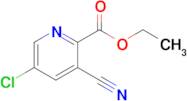 Ethyl 5-chloro-3-cyanopicolinate