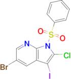 5-Bromo-2-chloro-3-iodo-1-(phenylsulfonyl)-1H-pyrrolo[2,3-b]pyridine