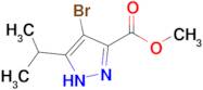 Methyl 4-bromo-5-isopropyl-1H-pyrazole-3-carboxylate