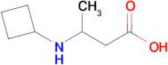 3-(Cyclobutylamino)butanoic acid