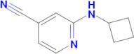2-(Cyclobutylamino)isonicotinonitrile