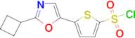 5-(2-Cyclobutyloxazol-5-yl)thiophene-2-sulfonyl chloride