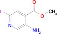 Methyl 5-amino-2-iodoisonicotinate