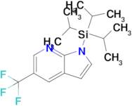 5-(Trifluoromethyl)-1-(triisopropylsilyl)-1H-pyrrolo[2,3-b]pyridine