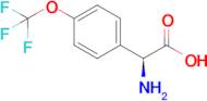 (S)-2-amino-2-(4-(trifluoromethoxy)phenyl)acetic acid