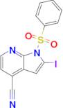 2-Iodo-1-(phenylsulfonyl)-1H-pyrrolo[2,3-b]pyridine-4-carbonitrile