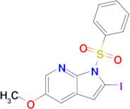 2-Iodo-5-methoxy-1-(phenylsulfonyl)-1H-pyrrolo[2,3-b]pyridine