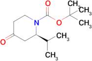 Tert-butyl (R)-2-isopropyl-4-oxopiperidine-1-carboxylate