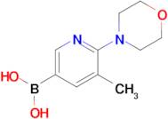 (5-Methyl-6-morpholinopyridin-3-yl)boronic acid