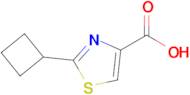 2-Cyclobutylthiazole-4-carboxylic acid