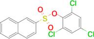 2,4,6-Trichlorophenyl naphthalene-2-sulfonate