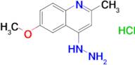 4-Hydrazinyl-6-methoxy-2-methylquinoline hydrochloride