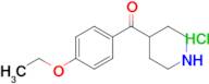 (4-Ethoxyphenyl)(piperidin-4-yl)methanone hydrochloride