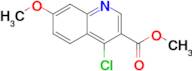 Methyl 4-chloro-7-methoxyquinoline-3-carboxylate