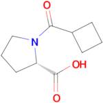 (Cyclobutanecarbonyl)-L-proline