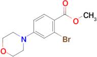 Methyl 2-bromo-4-morpholinobenzoate