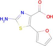 2-Amino-5-(furan-2-yl)thiazole-4-carboxylic acid