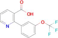 2-(3-(Trifluoromethoxy)phenyl)nicotinic acid