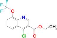 Ethyl 4-chloro-8-(trifluoromethoxy)quinoline-3-carboxylate